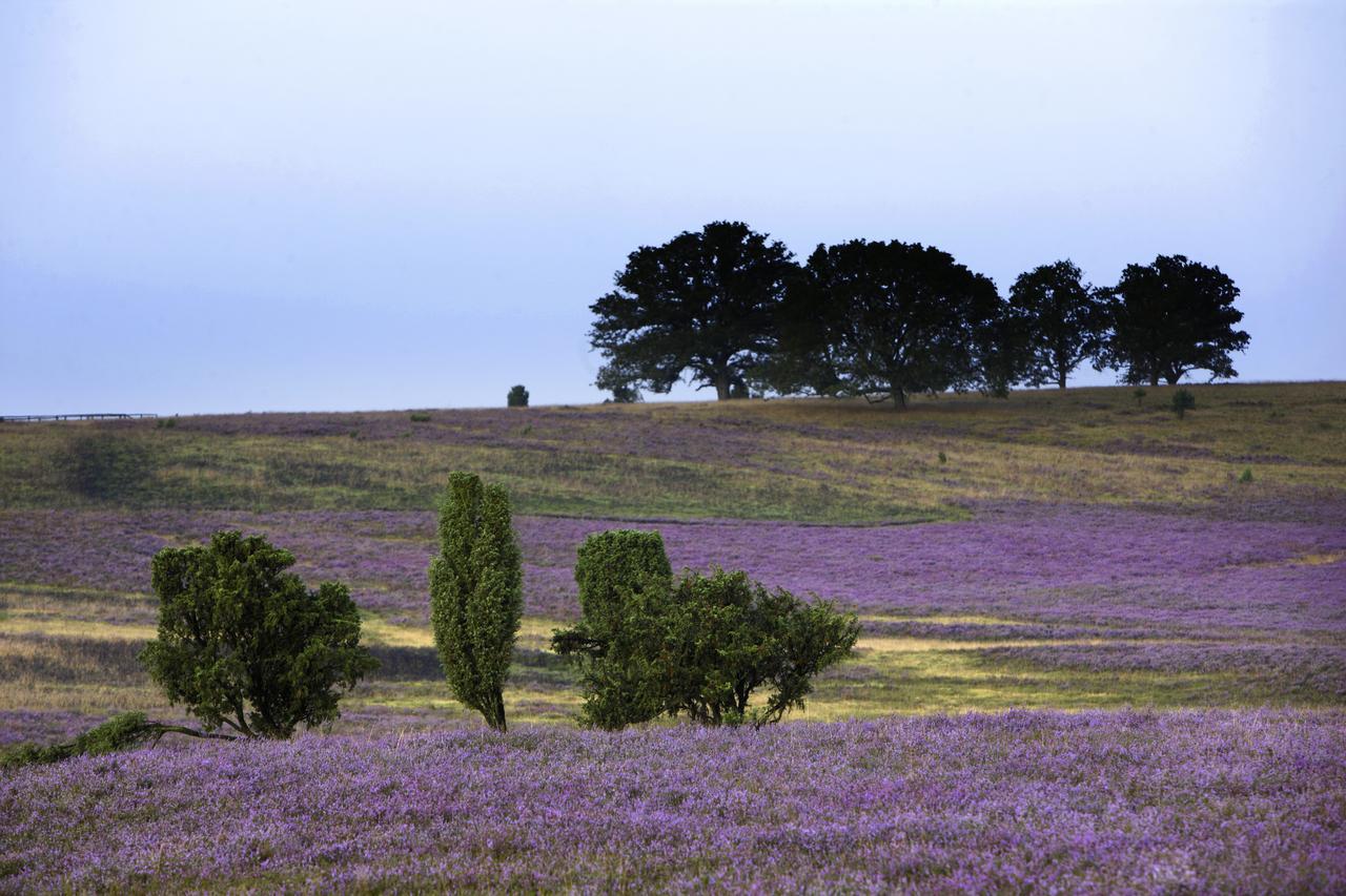 Gasthof Menke Niederhaverbeck Exteriér fotografie