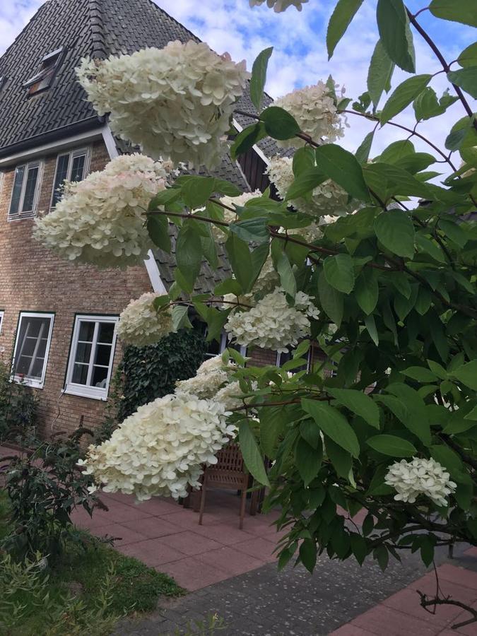 Gasthof Menke Niederhaverbeck Exteriér fotografie